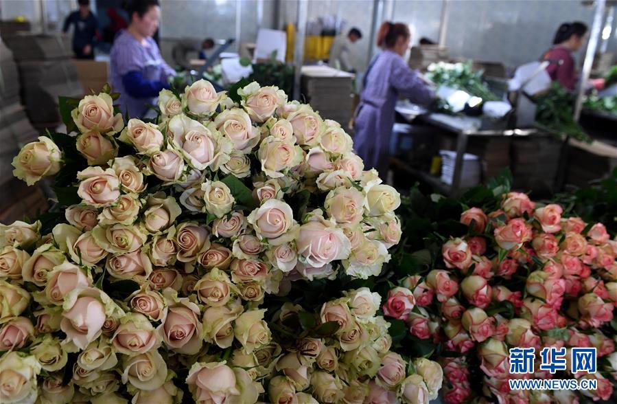 【券!商聚焦】交银国际维持三生制药(01530)买入评级 指707海外开发快速推进