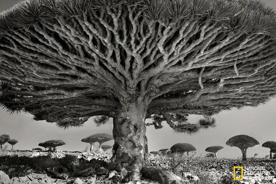 华夏;银!行被罚1365.5万元：因违反账户管理规定等10项违法违规行为