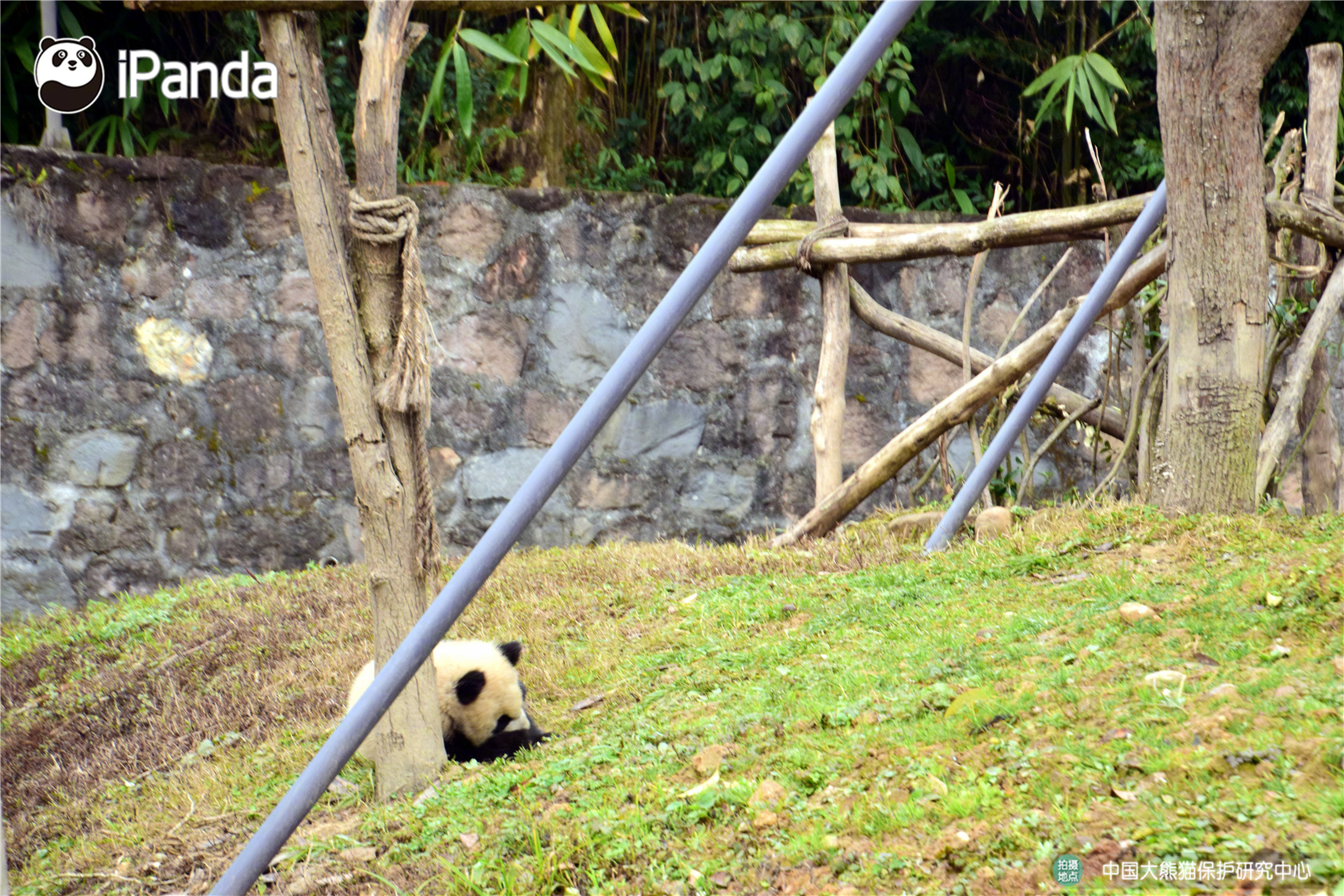 美中嘉—和获控股股东质押股份