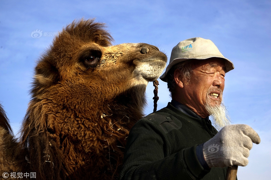 天赐材‘料’(002709)6月30日股东户数18.23万户，较上期减少3.47%