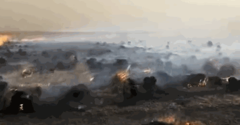 浙农,股份：累计回购公司股份11888937股