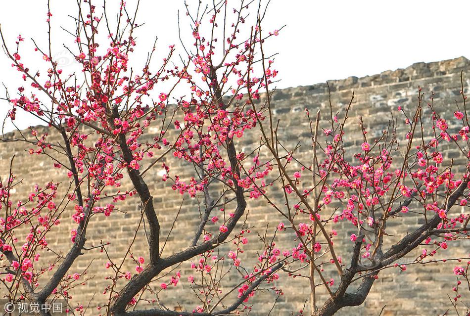 主力资{金} |, 尾盘，资金出逃4只科技股