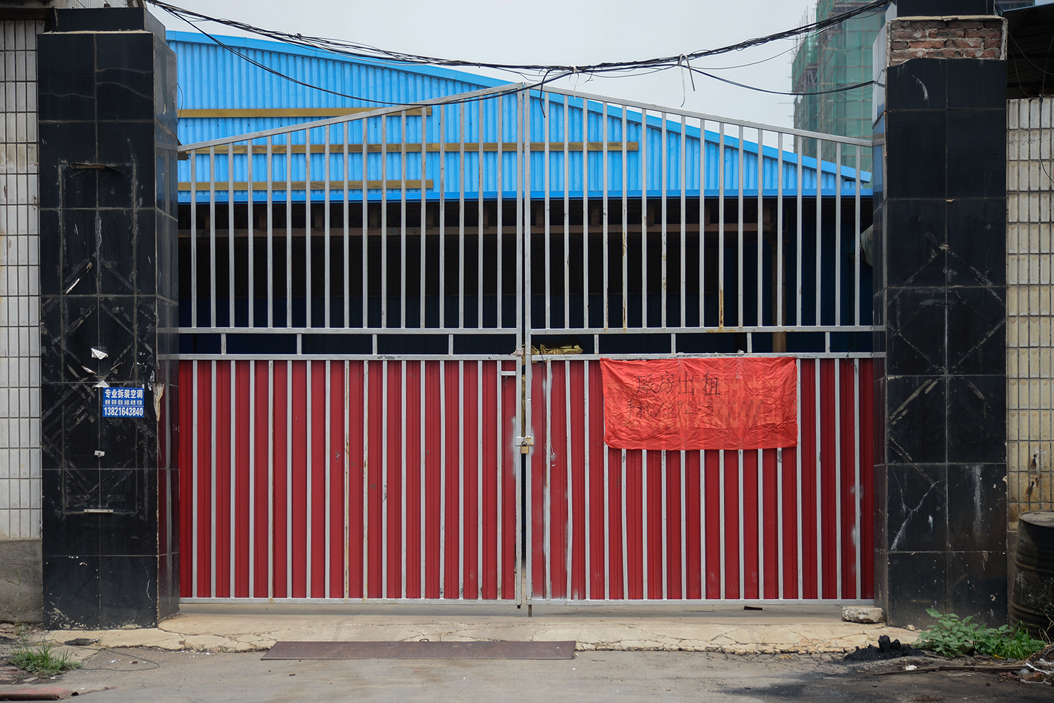 光大:期货<：>11月21日农产品日报