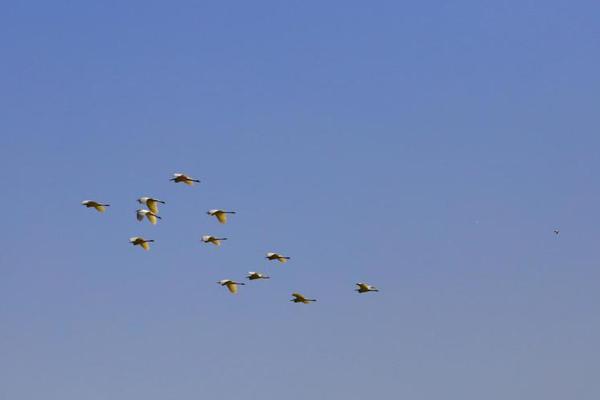 宁德时:代，历史新?高！特朗普：“大幅降息”要来了