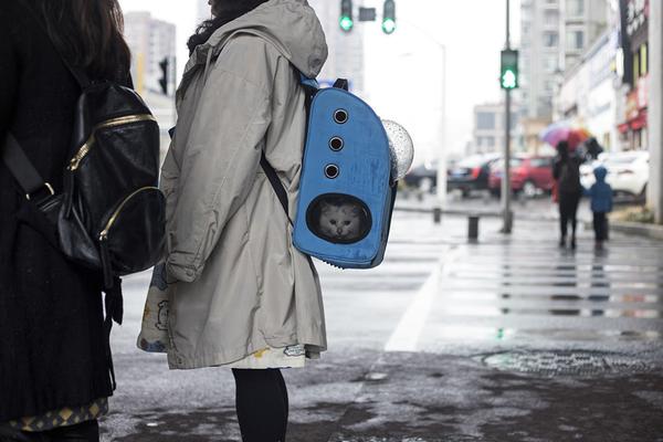 依‘依’股份前三季度净利1.57亿元，同比增长3.82%