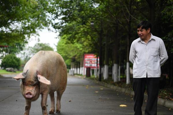 中,国银行：已:实现人工智能核心企业授信超过4000亿元