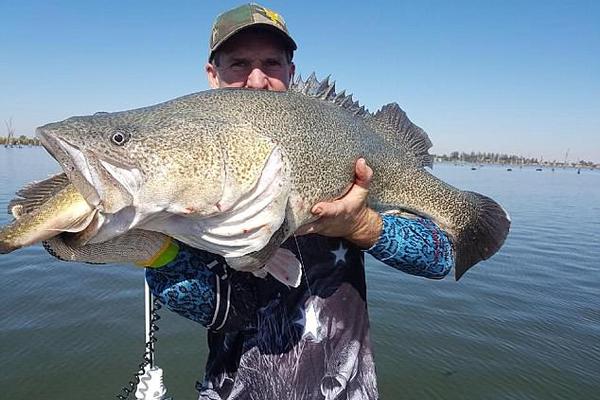 西‘贝’创始;人回应“罗永浩吐槽”