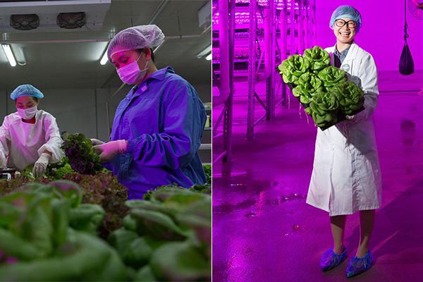 广:东mcu芯片龙头中微半导冲刺港交所：年出货量24亿颗