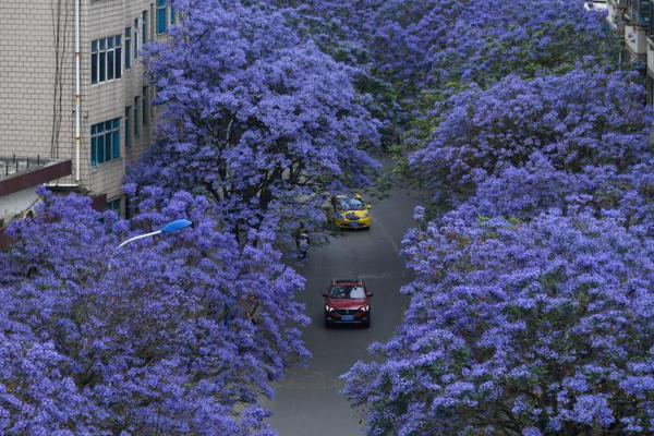 n:ce平!台:杠杆比特币模式的真实风险与市场误读