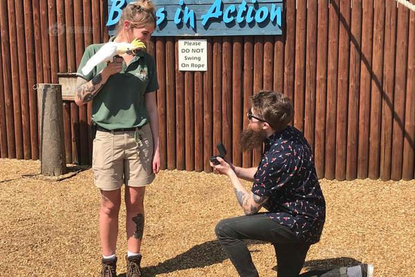 美联储官‘员’再提金融稳定风险 警告资产价格或面临大幅回调