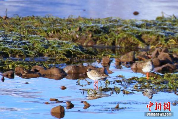 周鸿!祎：我收回这句话