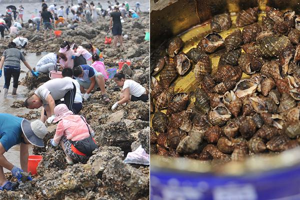 何小,鹏!：机器人2030年销量超百万台 明年发布7款新车