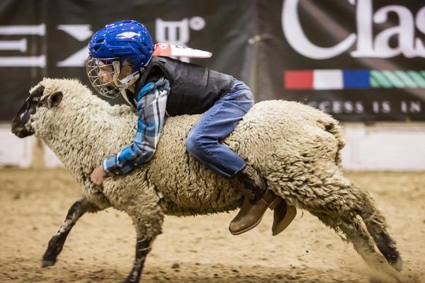 2025:年全国镁行,业大会：伊之密半固态镁合金技术破局，领航镁产业升级之路