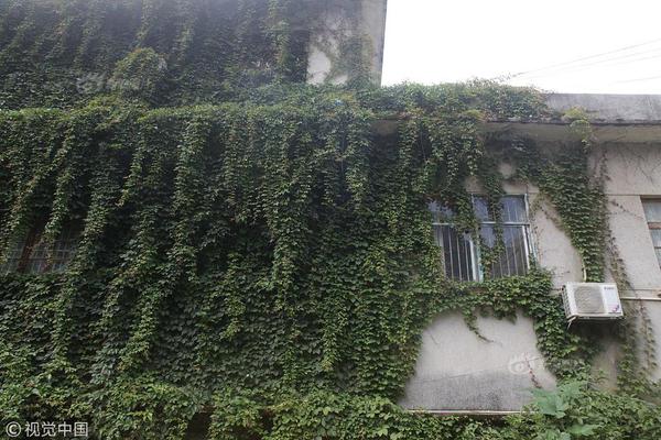 锅,圈于10月6日斥资99.5万港元回购31.04万股