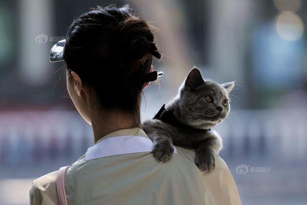 deep;way深向拟赴港ipo，“正向定义”基因勾勒自动驾驶商业版图