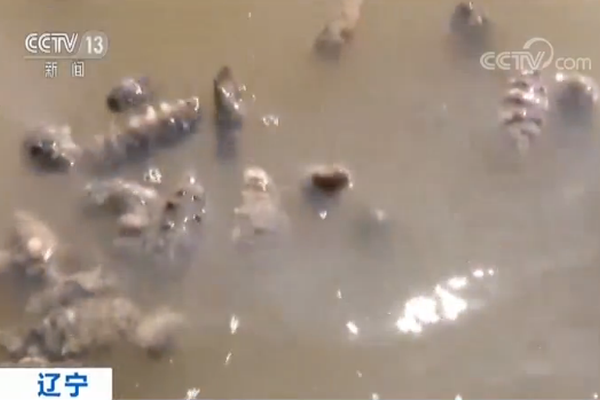 楼市快报||—2025年1-9月深圳房地产市场分析