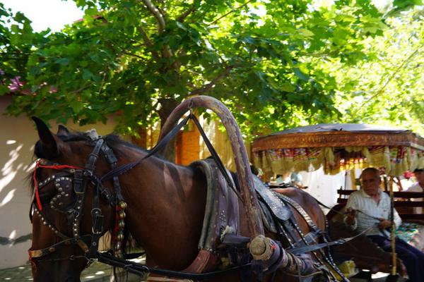 【:银河公用环保陶贻功】公司点评丨联美控股 ：供热板块业绩弹性值得期待