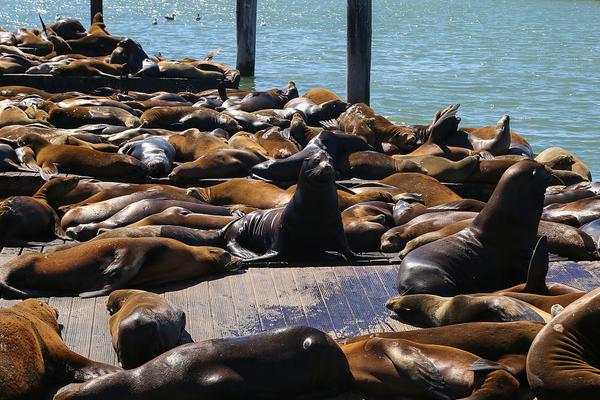 *,st星光录得10天5板