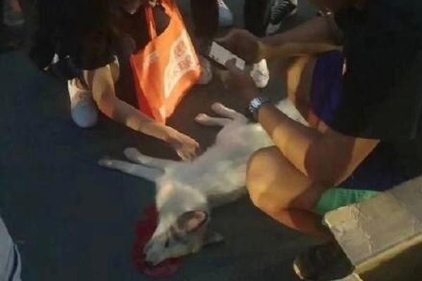 中国国贸202?5年上半年营业收入18.9亿元 归母净利润6.32亿元