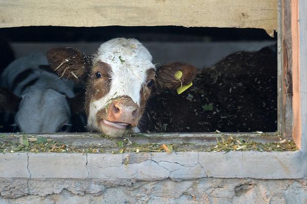 世联行{控}股股大横琴集团90.21%股权划转至珠光集团