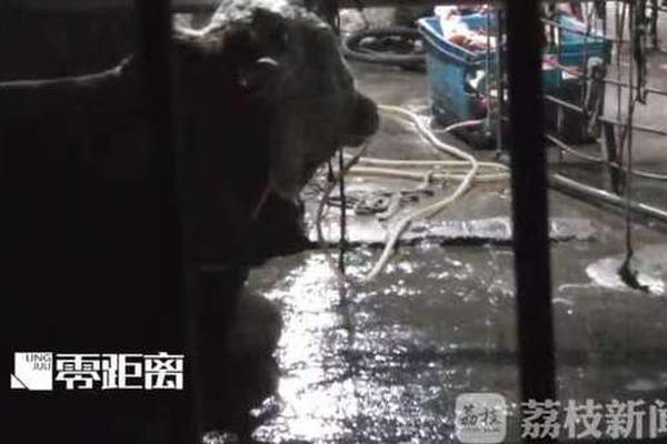 青松股份：20:25年第三季度归属于上市公司股东的净利润同比增长232.47%