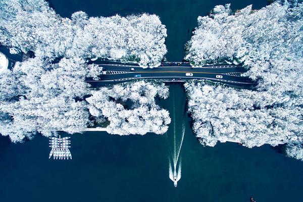 “大{行}下沉倒逼我们分包管‘户’！”当大行抢走县域“蛋糕”，中小银行怎么找“出路”？