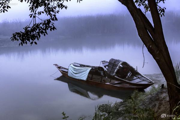 ​:《v—iew独家洞察》丨本期关注中国—中亚合作