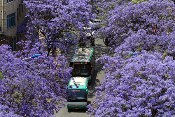 新强{联}：2025年第三季度归属于上市公司股东的净利润同比增长308.57%