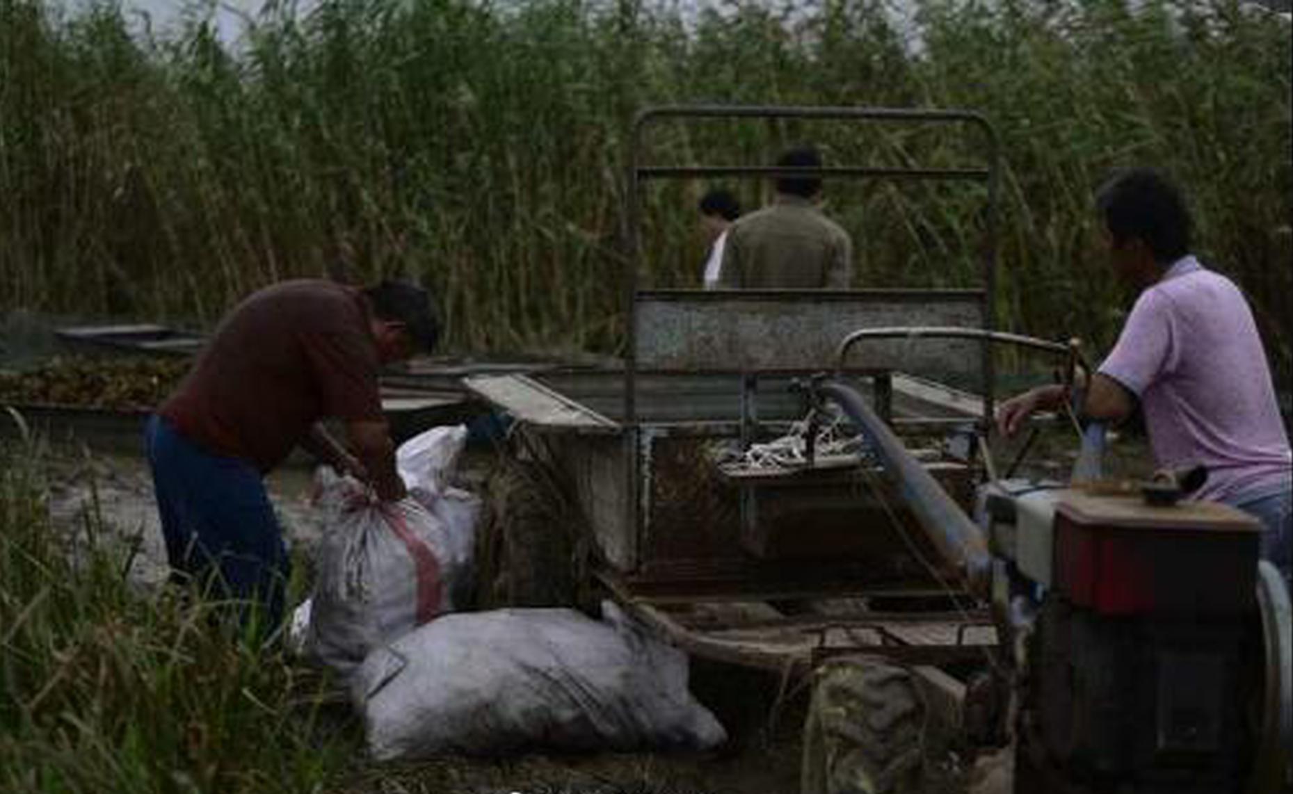 多部;日影<撤>档，国产电影迎来排片窗口期！a股影视板块逆势上涨