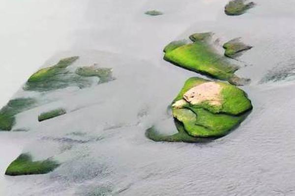 视频,|追觅!正式官宣造车，称要造世界上速度最快的车，计划在 2027 年亮相。