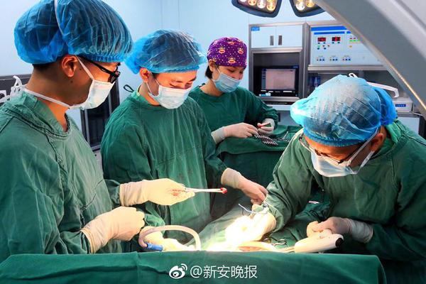 一.年涨超400%的双林股份递表港交所：二季度“增收不增利”，招股书详谈人形机器人业务现状