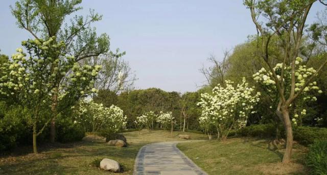 a,i日报丨谷歌发布量子计算突破性进展，马斯克表示不会取代英伟达