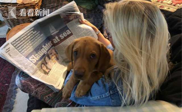 至纯科技<董>事长蒋渊： 深耕核心工艺 培育半导体行业“生态林”