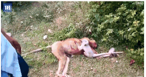 辽港股份完成注销3{.}34亿{股}已购回股份