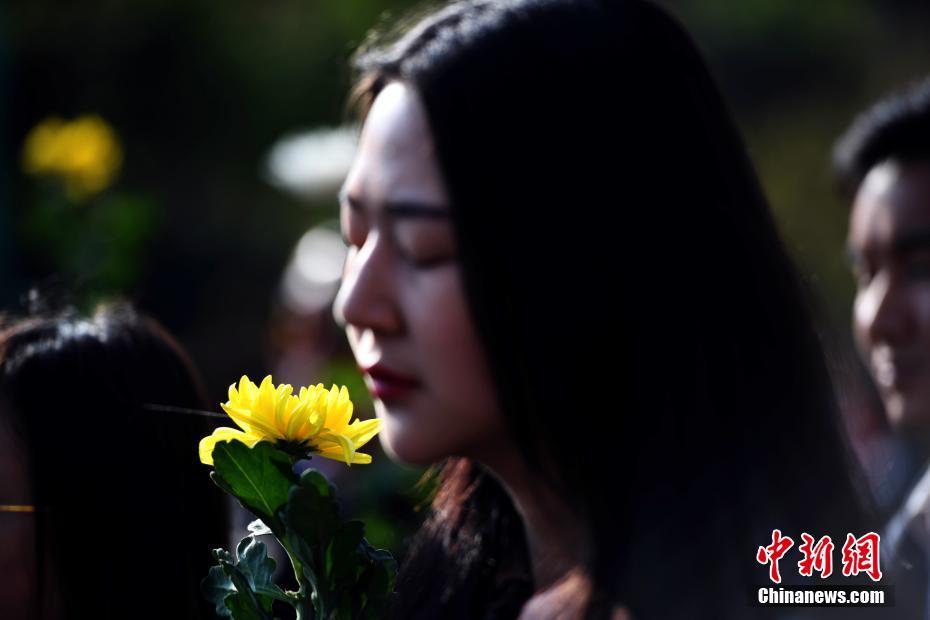 积成电子（.002339）2025年中报简析：营收上升亏损收窄，公司应收账款体量较大