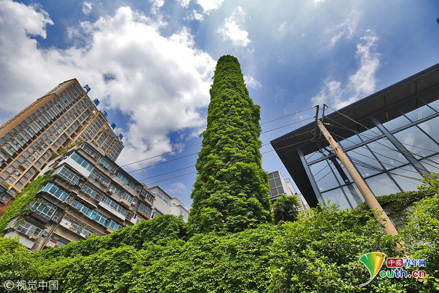 机构密集.造访:河南上市公司，这家龙头最受关注